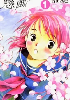 Koi Kaze