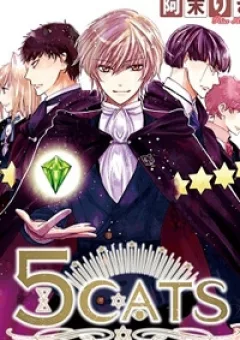 5 Cats