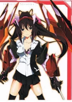 Infinite Stratos New Version