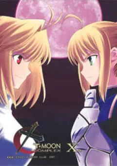 Type-Moon Complex X