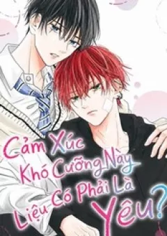 Cảm Xúc Khó Cưỡng Này Liệu Có Phải Là Yêu?