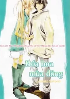 Đóa Hoa Mùa Đông