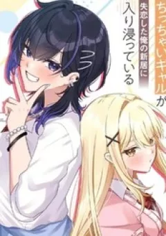 Dekkai Gyaru To Chicchai Gyaru Ga Shitsuren Shita Ore No Shinkyo Ni Iribitatteiru