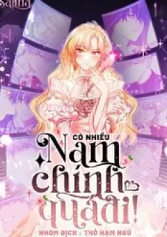 Có Nhiều Nam Chính Quá Đi!